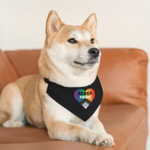 Black Pet Bandana Collar